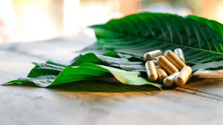 Kratom for Life: Navigating Wellness with a Palette of Strains