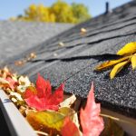 What Every Season Leaves Behind on a Commercial Roof