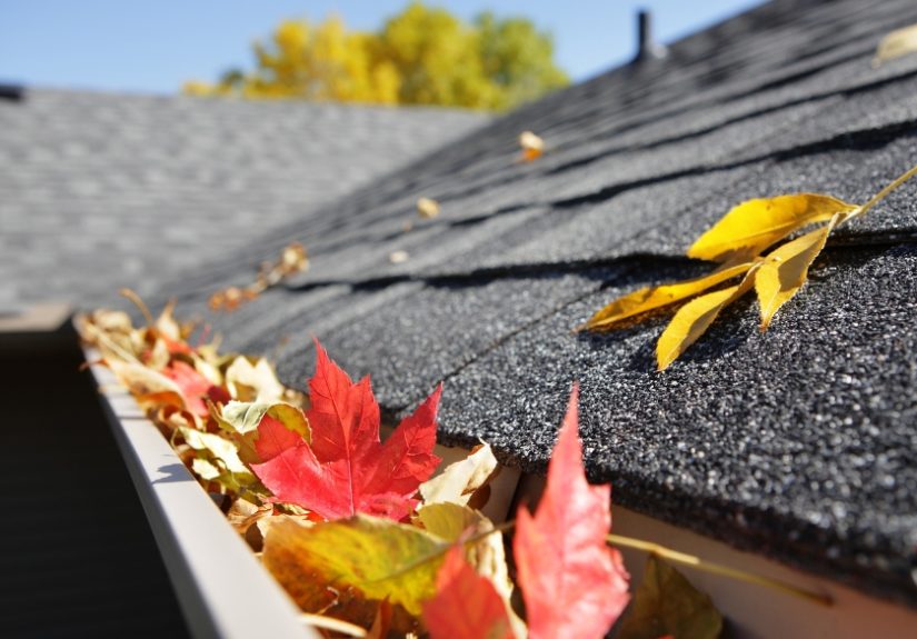 What Every Season Leaves Behind on a Commercial Roof