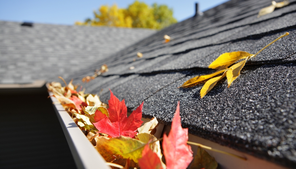 What Every Season Leaves Behind on a Commercial Roof